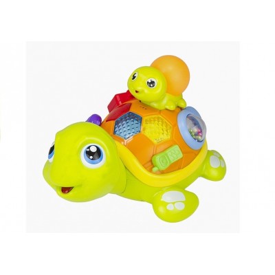 Broscuta testoasa cu pui