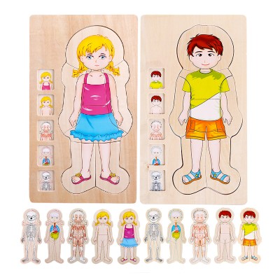 Puzzle din lemn Invata anatomie, straturile corpului uman